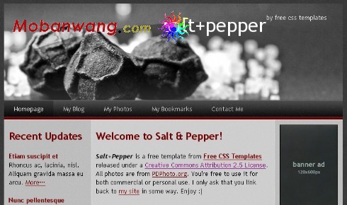 椒盐话梅主题网页模板