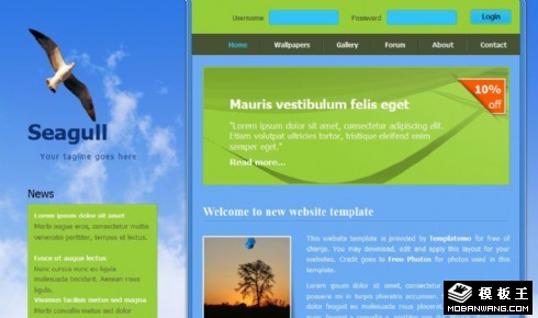 蓝天海鸥信息介绍网页模板