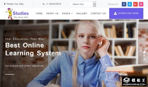 在线教育服务展示响应式网页模板
