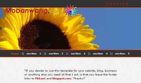 向日葵个人主页模板