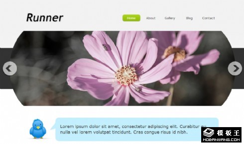 简洁产品信息日志网页模板