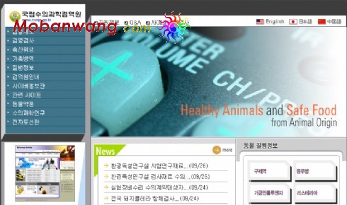 动物健康研究中心网页模板