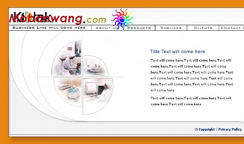 医药生物研究网页模板