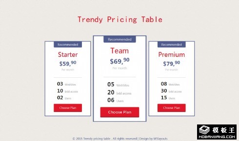 扁平参数价目表响应式网页模板