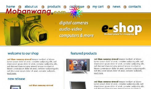 数码电脑产品公司网页模板