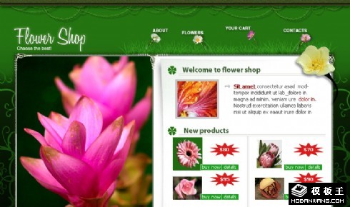 自然芳香鲜花网页模板