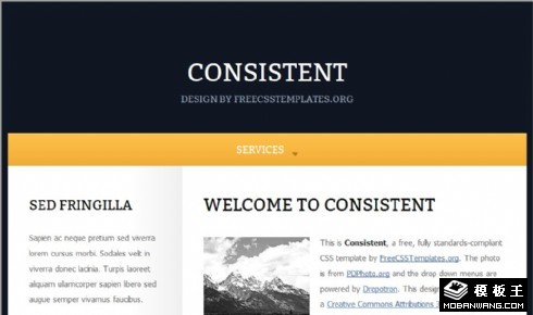 常规个人日志信息网页模板