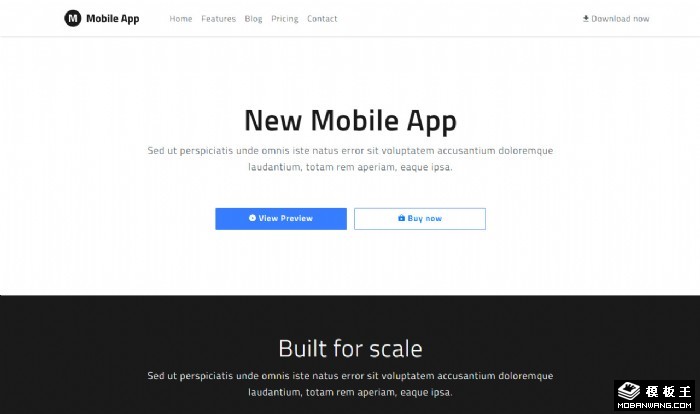 简约APP展示下载网页模板