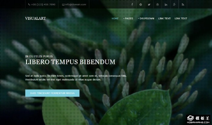 视觉艺术项目展示网页模板