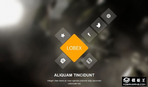 服务项目团队动态响应式网页模板