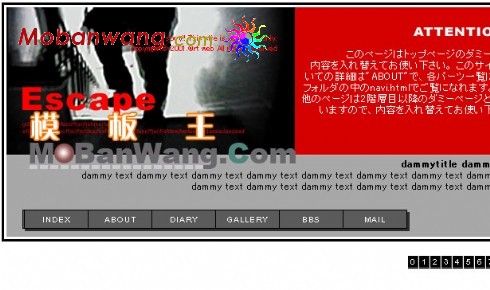 个人影评网页模板