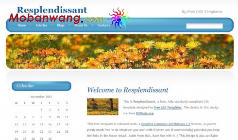 蓝色光泽导航BLOG网页模板