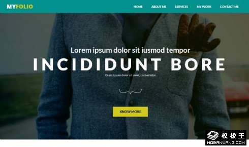 商业服务案例信息网页模板