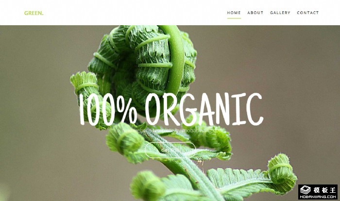 有机果蔬培植网页模板
