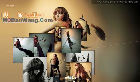 欧美人鱼模特相册展示flash模板