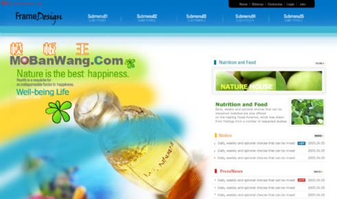 欧美水果汁配制网页模板