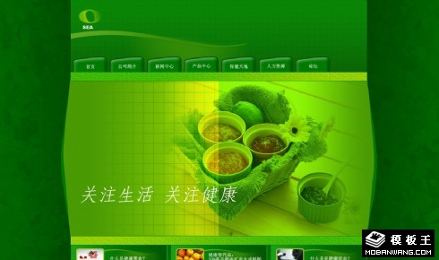 绿色健康饮食企业网页模板