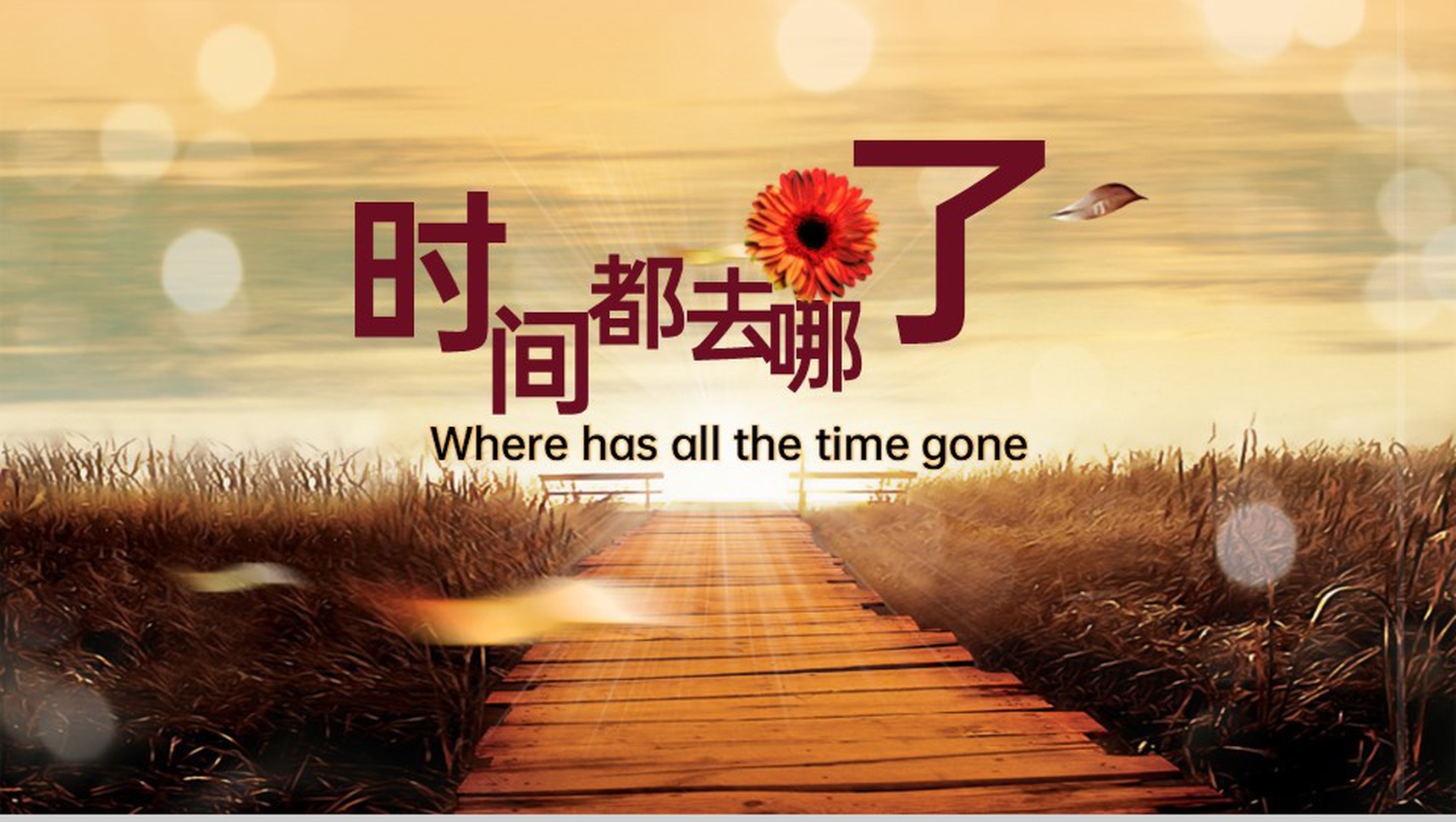 黄色复古风时间都去哪了毕业纪念册校园回忆PPT模版