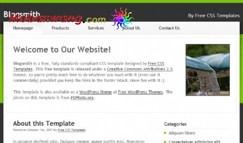 BLOG开发者网页模板