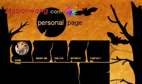 黑暗个人FLASH网页模板