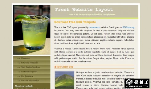 健康产品信息网页模板