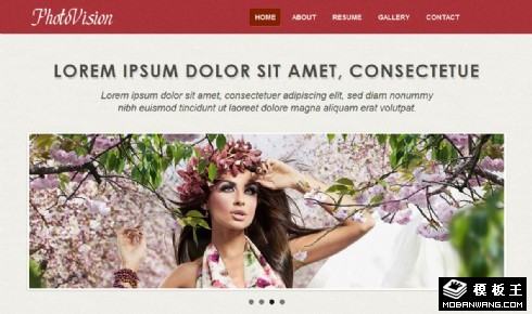 视野照片列表网页模板