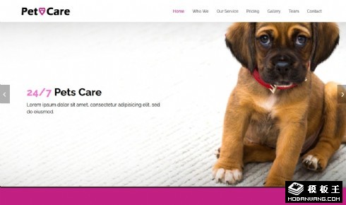 宠物护理项目展示响应式网页模板