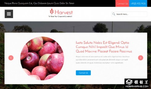 果蔬收获季节响应式网页模板