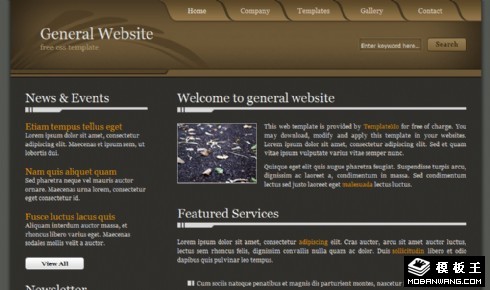 深咖啡色企业介绍网页模板