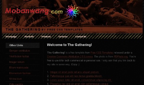 考古研究黑色网页模板