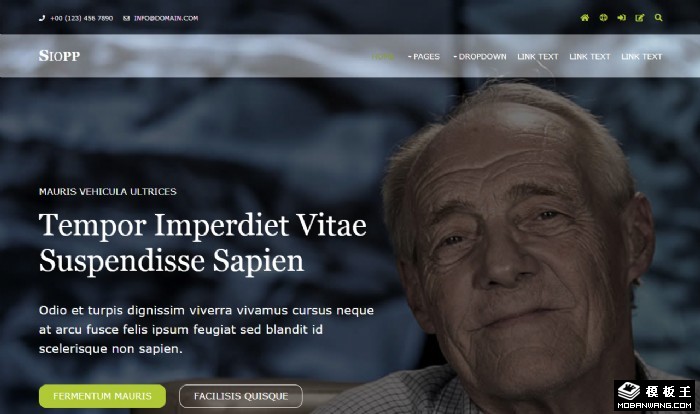 智慧科技专家网页模板