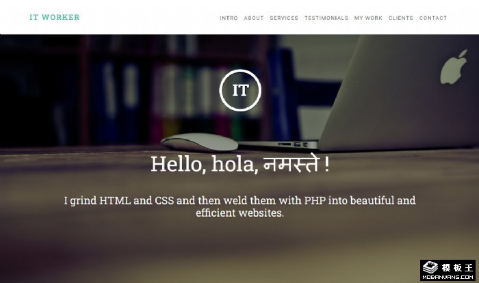 IT程序员技术业务单页面模板