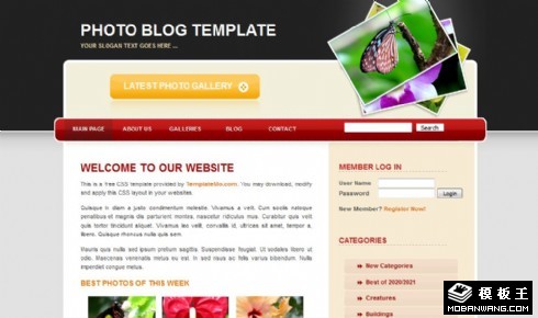 图片BLOG信息动态网页模板