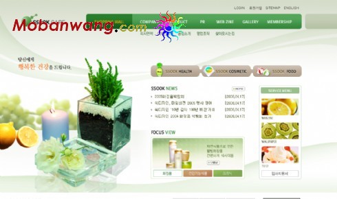 绿色健康美容食品网页模板