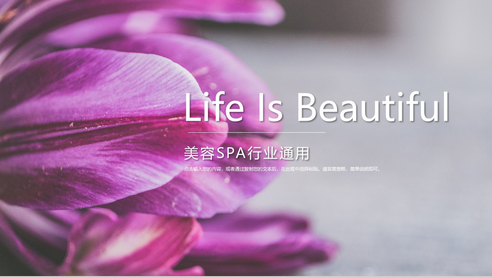 清新简洁美容SPA行业通用PPT模板