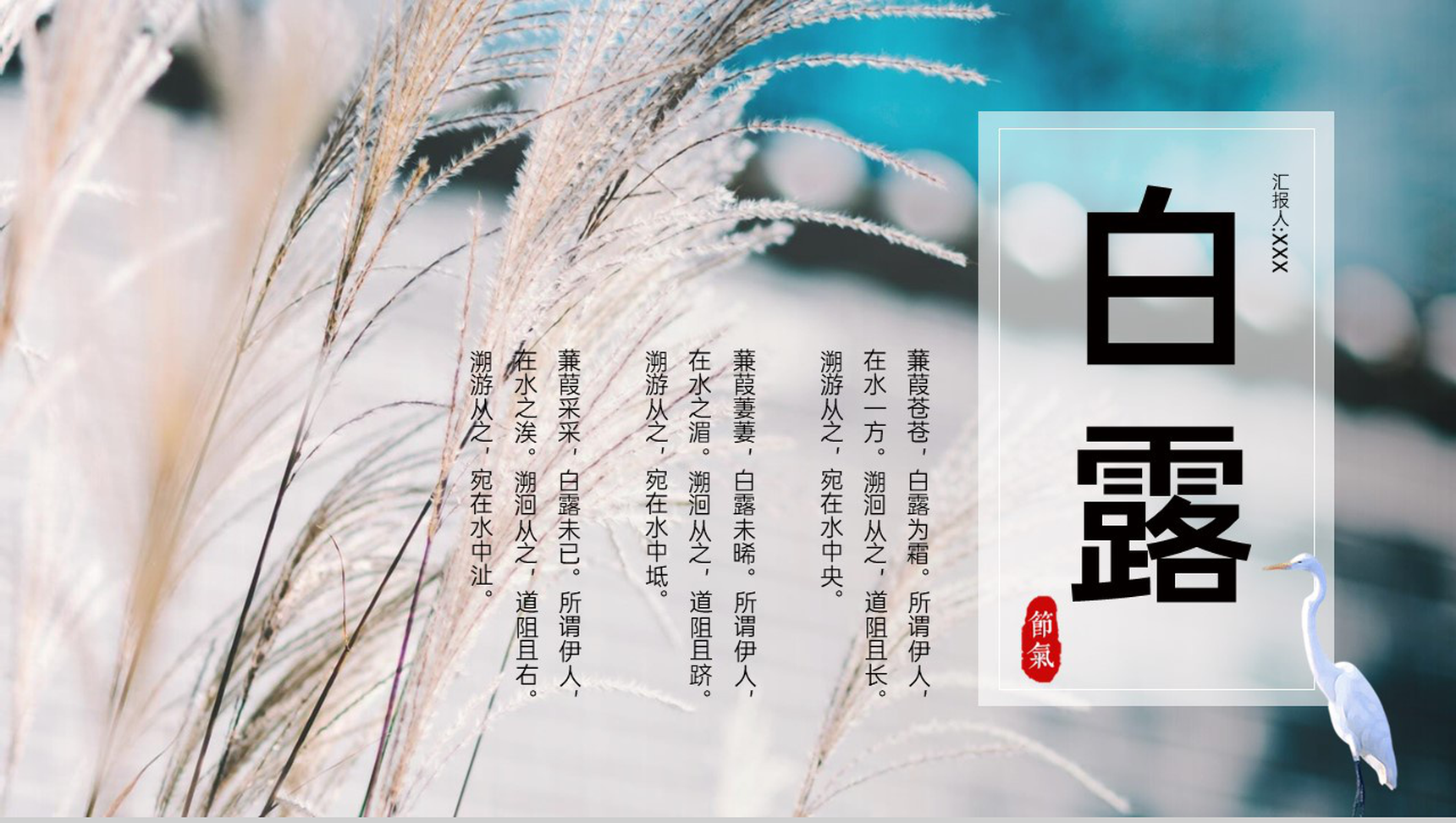 青色简约风中国传统节气白露介绍文化习俗科普PPT模板