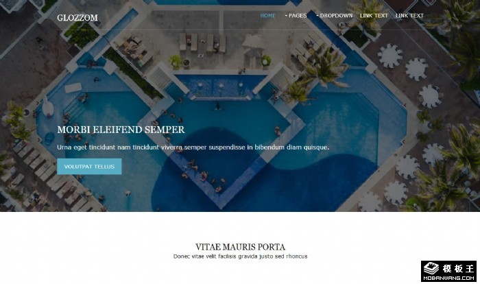 公共服务信息网页模板