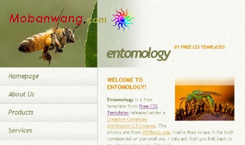 蜜蜂研究信息网页模板