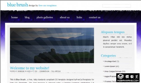 蓝刷风格BLOG网页模板