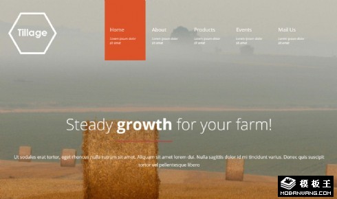 农业耕作生产科技响应式网页模板