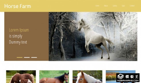 跑马场介绍响应式网页模板