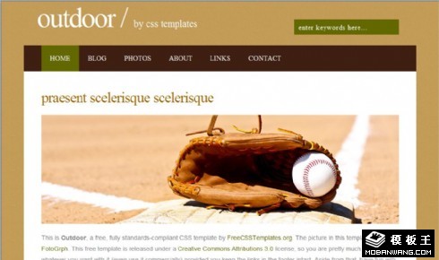 户外棒球运动网页模板