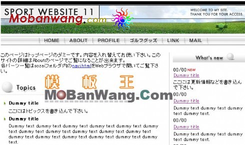 高尔夫球场网页模板