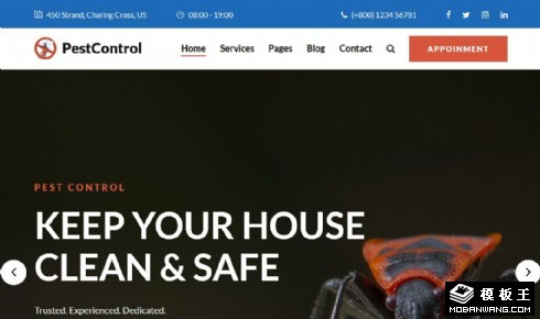 虫害防治服务响应式网页模板