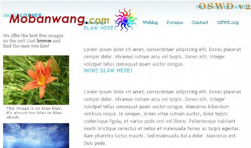 BLOG图片网页模板(xhtml)