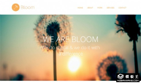 盛开户外运动网页模板