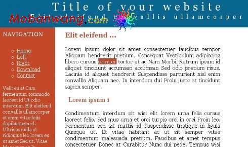 简单信息动态网页模板