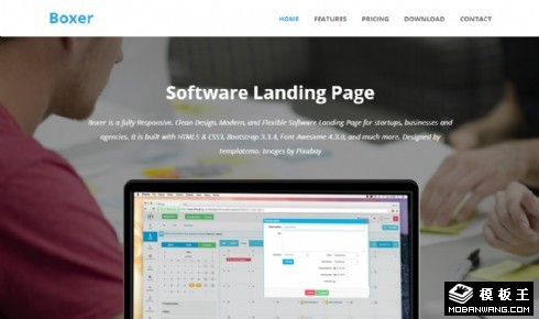 财务管理信息响应式网页模板