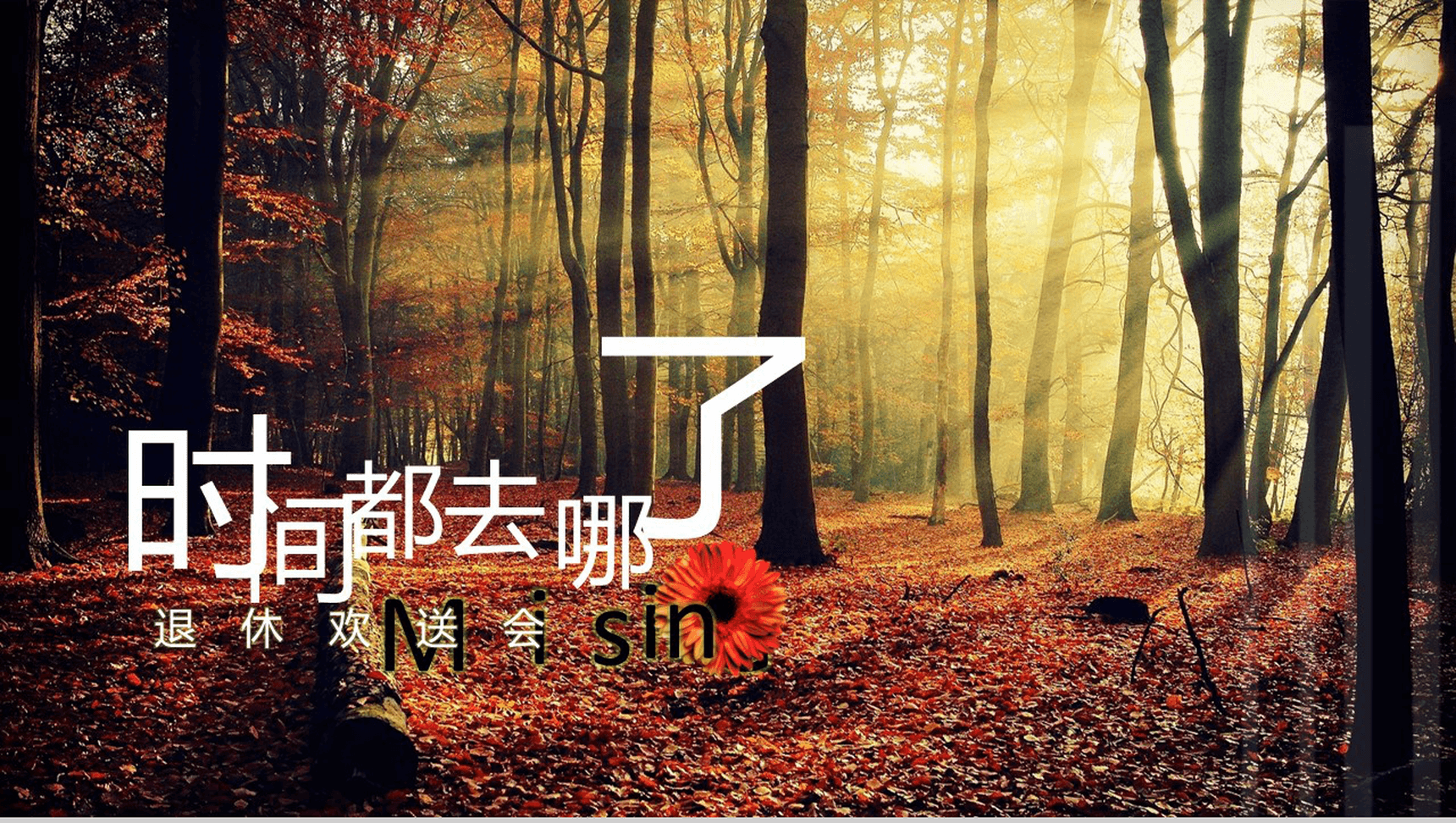 时间都去哪了退休欢送会纪念相册PPT模板