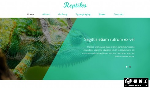 爬行动物展示介绍响应式网页模板